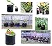 HONGVILLE 5-Pack Grow Bags/Aeration Fabric Pots w/Handles (1-Gallon, Black)thumb 3