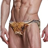 Men's Sexy Bikini Swimsuit Swimwear Quick Dry Print Briefs