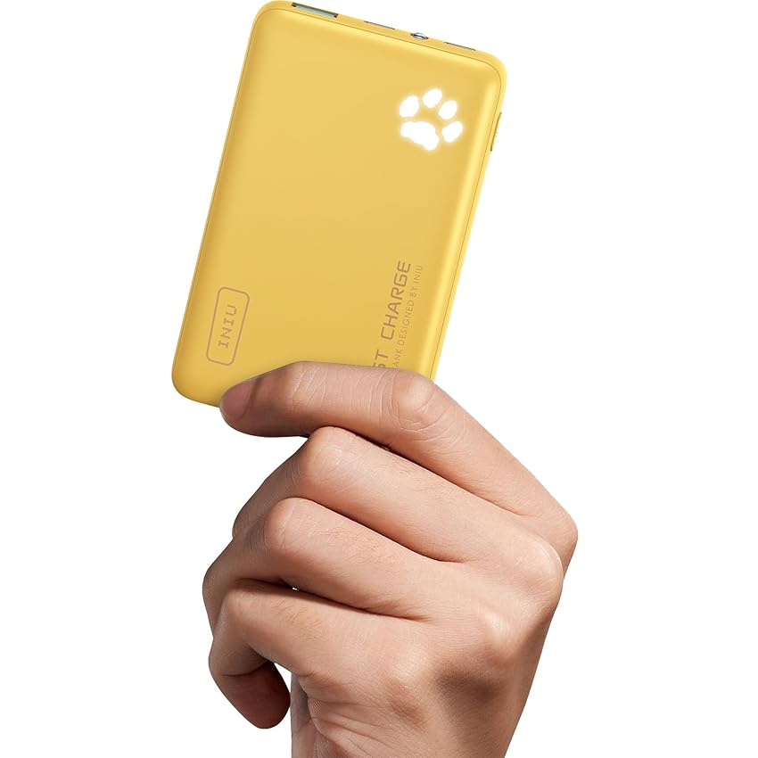 INIU Power Bank, 22,5W 10000mAh Ultra Sottile & Leggero Fast Charging Powerbank