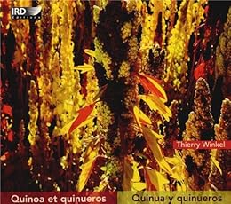 Quinoa et quinueros