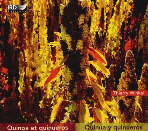 Quinoa et quinueros