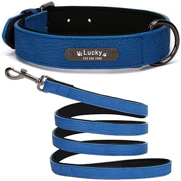 dog leash with name