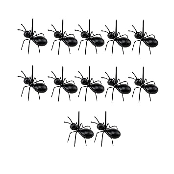 ラブリー蟻 食べ物 最高の花の画像