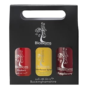 Luxury Gin Syrup Gift Set Elderflower Syrup Raspberry Syrup and Rhubarb Syrup Cocktail Mixer Set