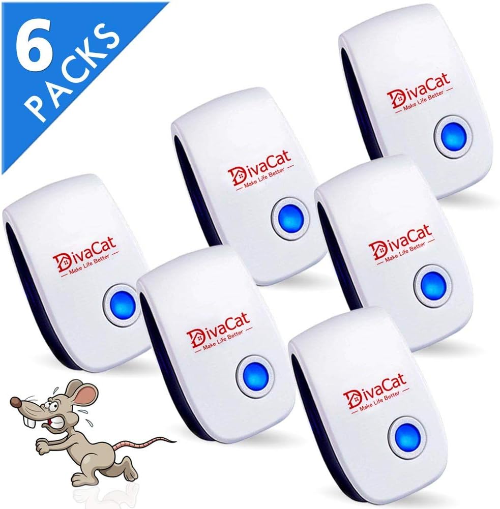 DivaCat 345325 3463246 32453245, White