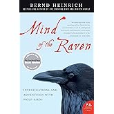 Mind of the Raven: Investigations and Adventures with Wolf-Birds