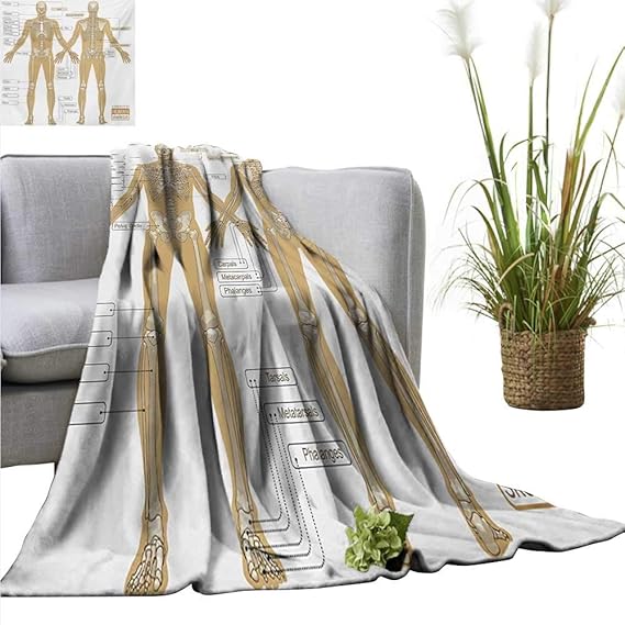 Amazon.com: Weighted Blanket for Kids，Human Anatomy,Diagram of Human