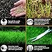 SunGrow Hair Grass Seeds, 10 Grams, Seeds Can Grow Up to 2 Inches, Mid or Foreground Tank Decor, Carpet Aquarium Plant, Short Germination Time, Creeper Plant Covers Tank Surface Quickly, 1 Pack