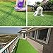 PET GROW 6'x8 Pet Pad Artificial Realistic & Thick Fake Mat for Outdoor Garden Landscape Dog Synthetic Grass Rug Turf, 6' x 8', Green
