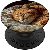 Orange Tabby Cat Sleeping PopSockets Adhesive PopGrip