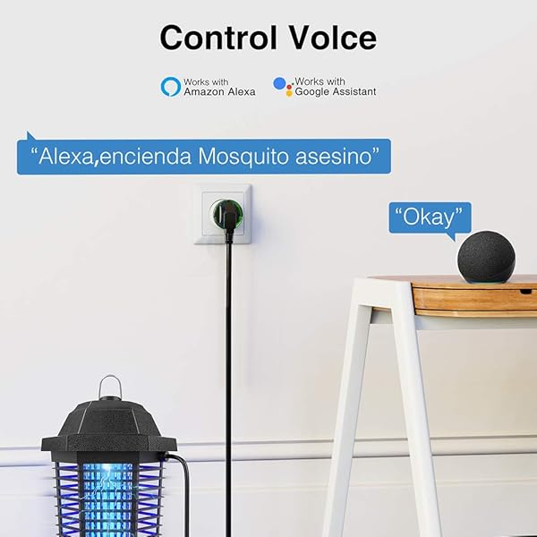 Mini Wifi Enchufe Inteligente Amazon Alexa Gosund Enchufe Control Remoto por APP Smart Plug Funcionar con Monitor de EnergaTemporizacin Compartible con AlexaGoogle Home 2Packs SOLO 2 4GHz