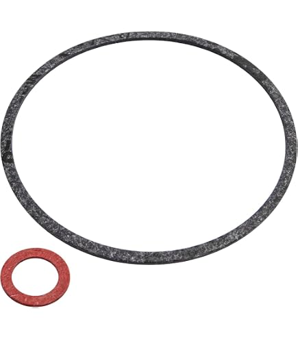 Amazon.com: Genuine Gasket Kit 16010-Z9L-811 for Honda GCV170