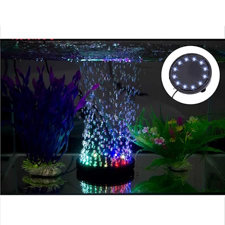 acuario pecera freedomanoth bomba