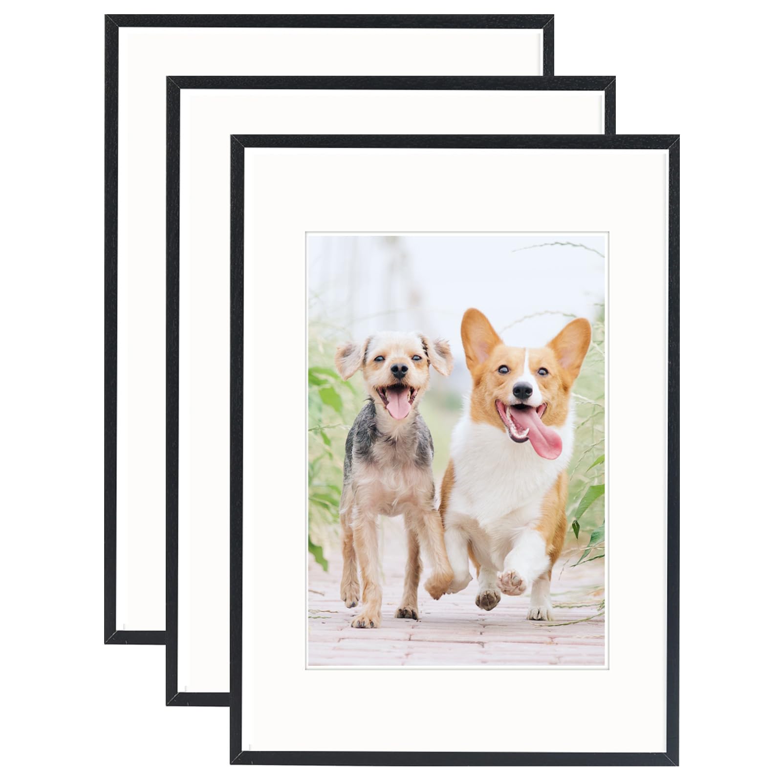 A3 Black Wood Photo Frame with mat,3 Pack-29.7x42cm Picture Plexi-Glass,Certificate Frame for Wall Mount or Table Top Display,Set of 3