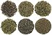Loose Leaf Green Tea Sampler, Exotic and Rare Green Tea Loose Leaf Tea Sampler, Dragon Well, Gunpowder, Sencha, and More, Loose Tea Sampler