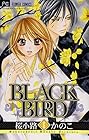 BLACK BIRD 第6巻
