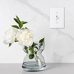 Questech Decor Light Switch Covers, Single Toggle