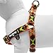 Blueberry Pet 2 Colors Soft & Comfy Step-in Southwestern Vintage Tribal Print Padded Dog Harness, Chest Girth 19.5