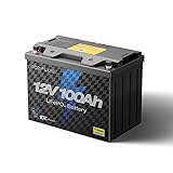 EF ECOFLOW 12V 100Ah LiFePO4 Battery, Built In 100A