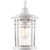 Darkaway Large Outdoor Pendant Lights for Porch, 15inch Outdoor Chandelier Hanging Porch Lights Ceiling Mount Aluminum with S