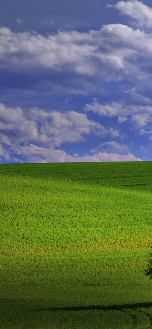 PeelitStickit, Beautiful Nature Wall Murals, ID-1026, vinyl