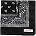 Soophen Paisley One Dozen Cowboy Bandanas (Black 22 X 22 in , 12-Pack)