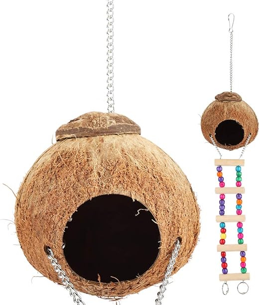 coconut bird toy