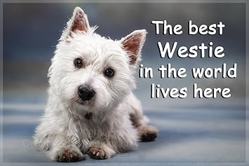 westie slippers amazon