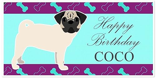 pug puppies under 500