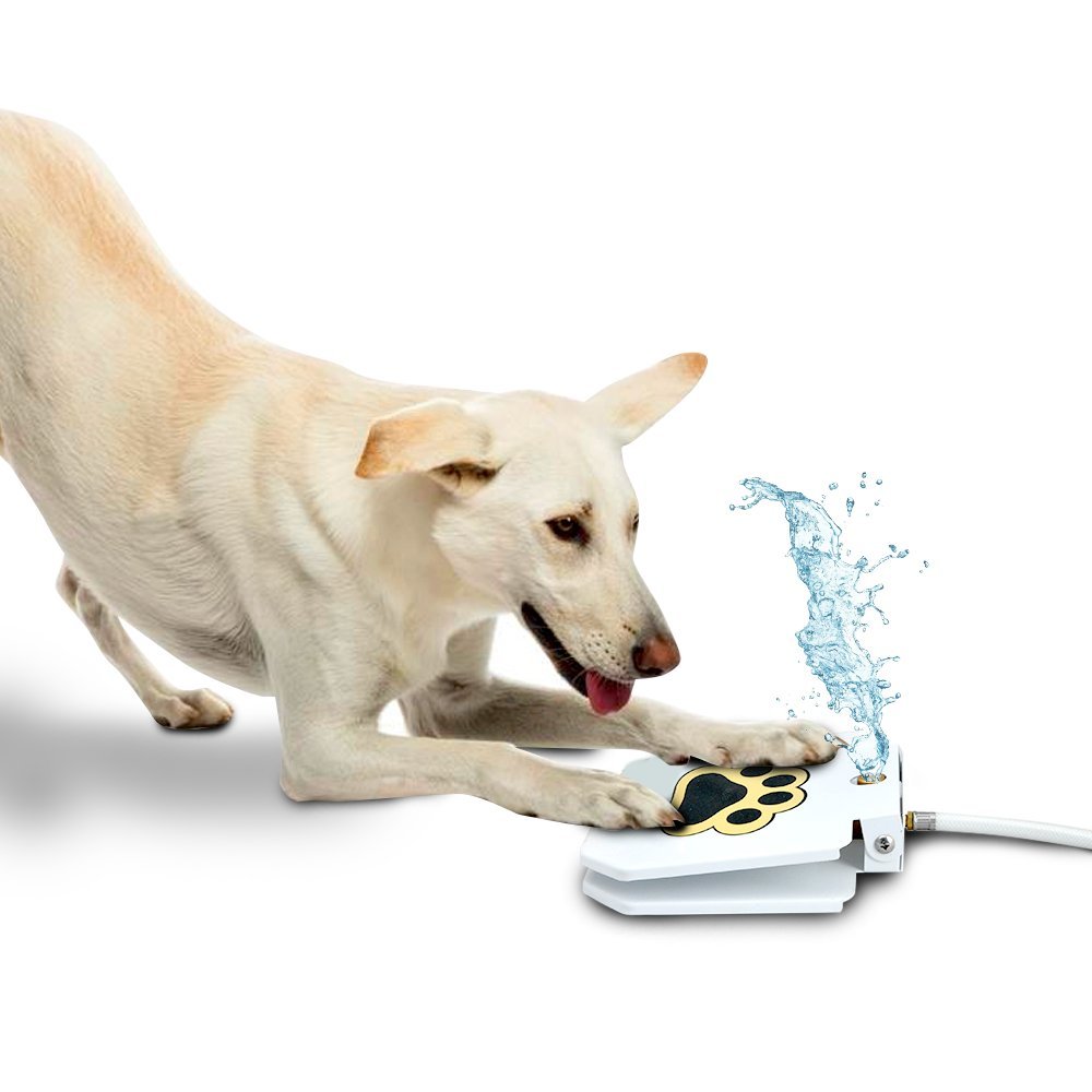 Happy Dog Pet Water Fountain Upgraded Outdoor StepOn Doggie Fountain
