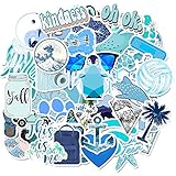 Hydro Flask Aesthetic Stickers VSCO Blue