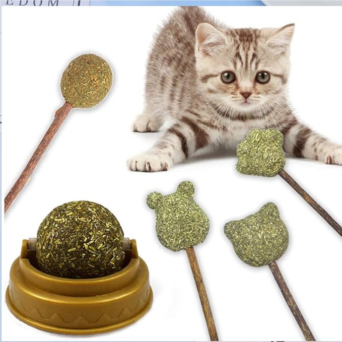 cat snack ball