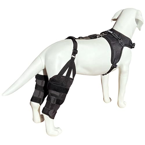 Labra Dog Canine Dual Knee Stifle Brace Wrap, Double Metal Splint
