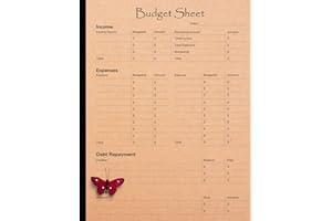 Budget Sheet: Budget Monthly Planner, Planning Budgeting Record, Simple Home Budget Spreadsheet, Planner Monthly Tracker Organizer, Size 8.5"X11", 120 Pages