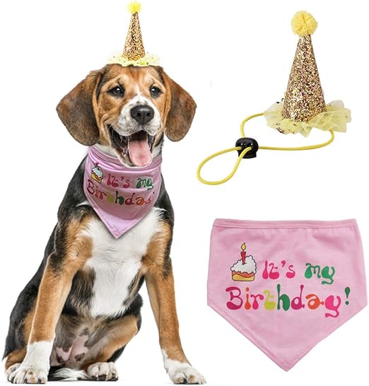 accesorios para perros amazon