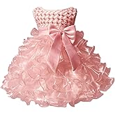 Jup'Elle Baby Girl Dresses Ruffle Lace Pageant Party Wedding Flower Girl Dress