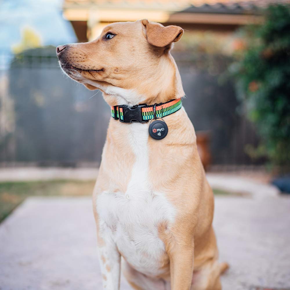 MyID Tag Medical ID Featuring NFC and QR Code Technology, Perfect for Kids and Pets