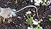 Joseph Bentley Traditional Garden Tools Stainless Steel Hand Onion Hoe