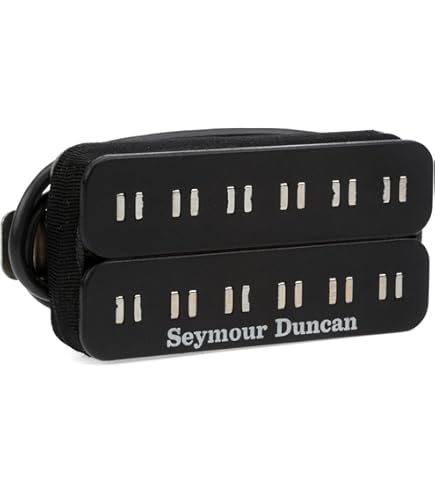 Amazon.com: Seymour Duncan - 11102-76 - PA-STK1n Parallel Axis