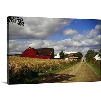 Amazon Com Amish Farm Buildings And Corn Field Along Country Road