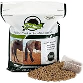 BioMane Hair Nutrition Supplement for Horses - 30 Day Supply (Resealable)