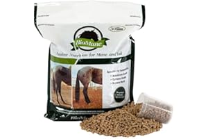 BioMane Hair Nutrition Supplement for Horses - 30 Day Supply (Resealable)