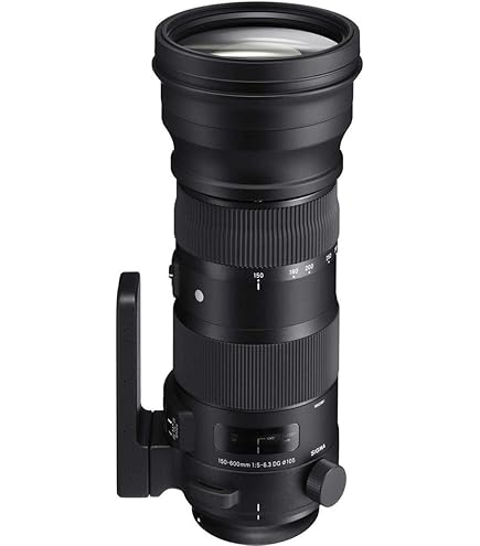 Amazon.com : Sigma 120-300mm F2.8 Sports DG APO OS HSM Lens for