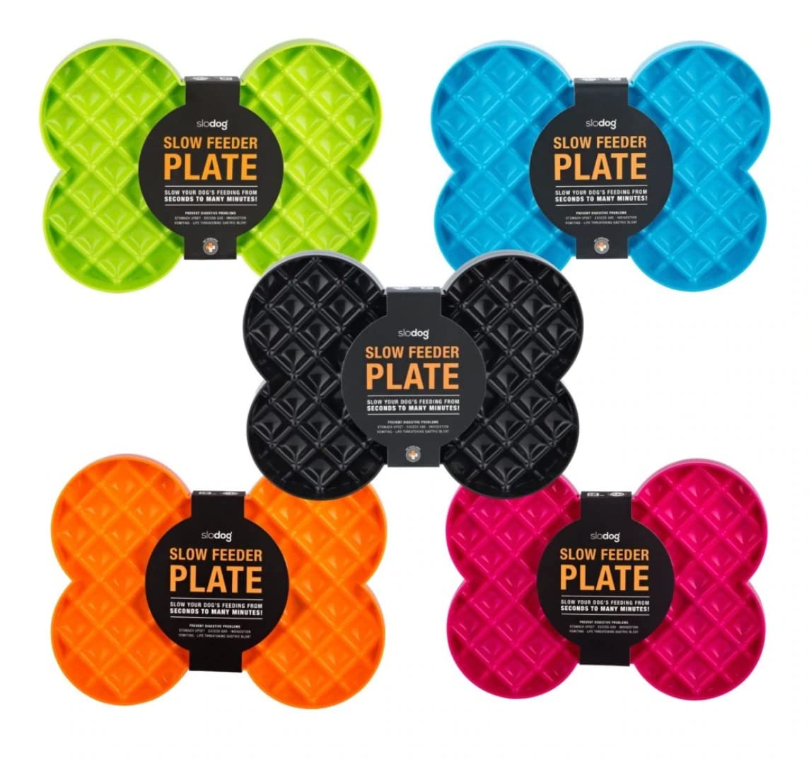SloDog Slow Feeder Plate, Orange