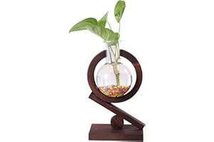 Deaname Propagation Stations Air Plant Holder, Desktop Glass Plant Terrarium, Bulb Vase with Wooden Stand, Home Decor Gifts f