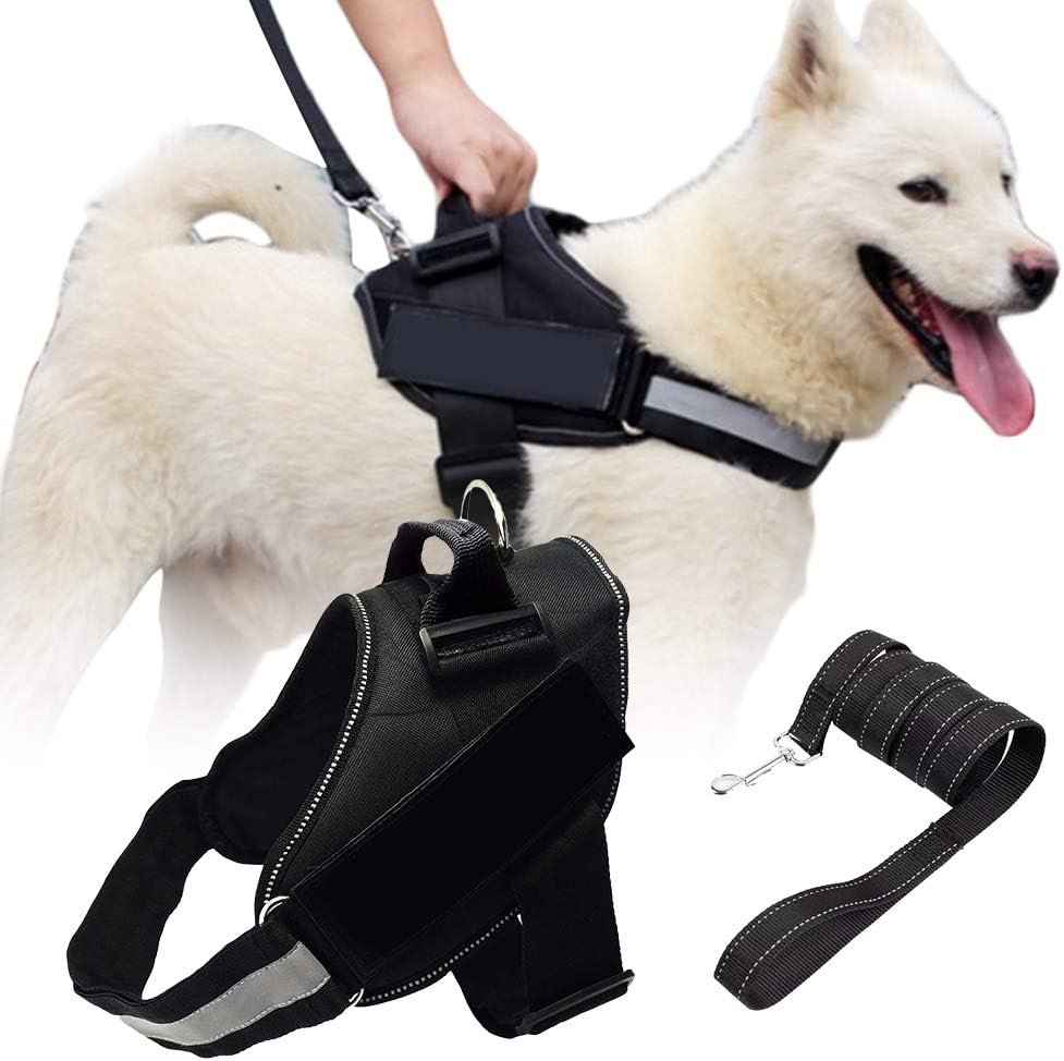 amazon service animal vest