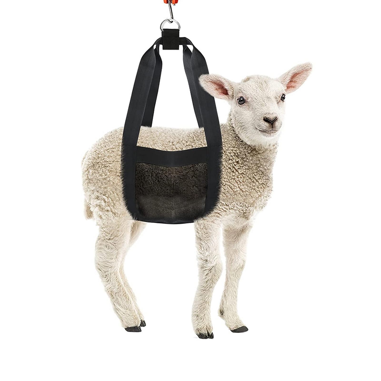 Qcwwy Calf Sling for Weighing Animals, Calf Scale Hanging Weight Scale Sling Animal Weighing Sling High Toughness Easy to Clean Scale Bag Sling for Lambs Goats Alpacas Newborn
