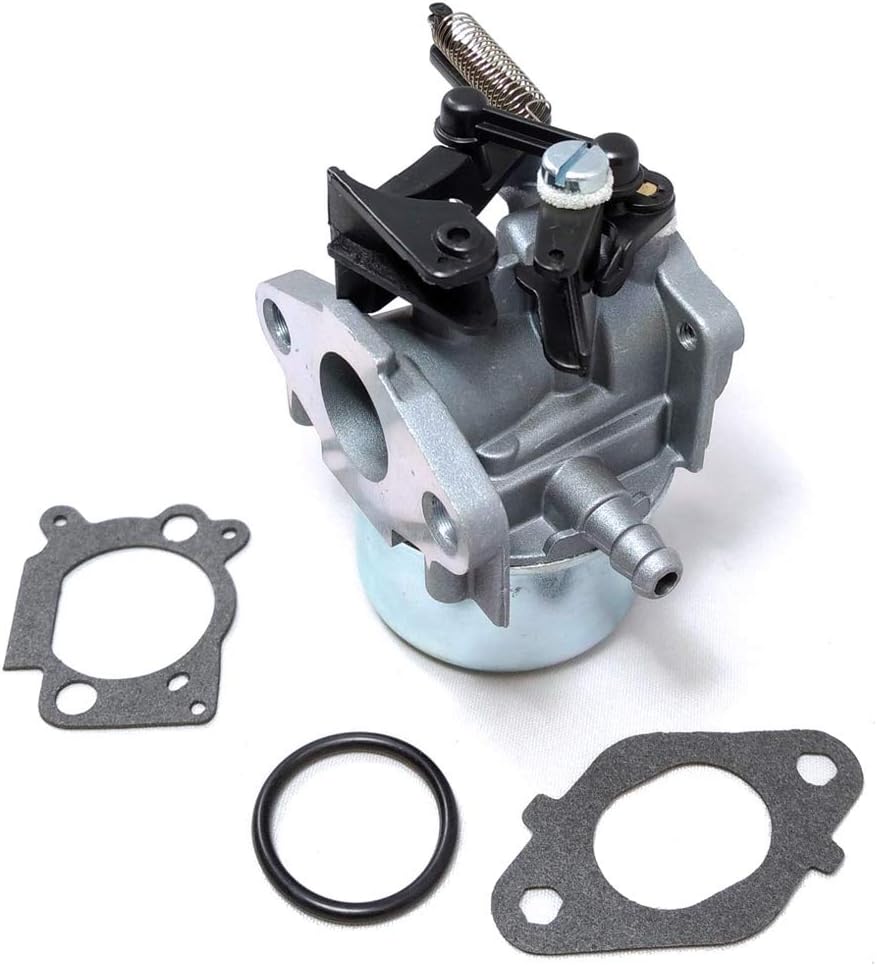 DKIIGAME Carburetor for Troy bilt Pressure washer7.75 Hp 8.75 Hp 8.5Hp 190CC, Replaces Briggs and Stratton 2700 3100PSI 796608 591137 590948 594287 799248 : Garden & Outdoor