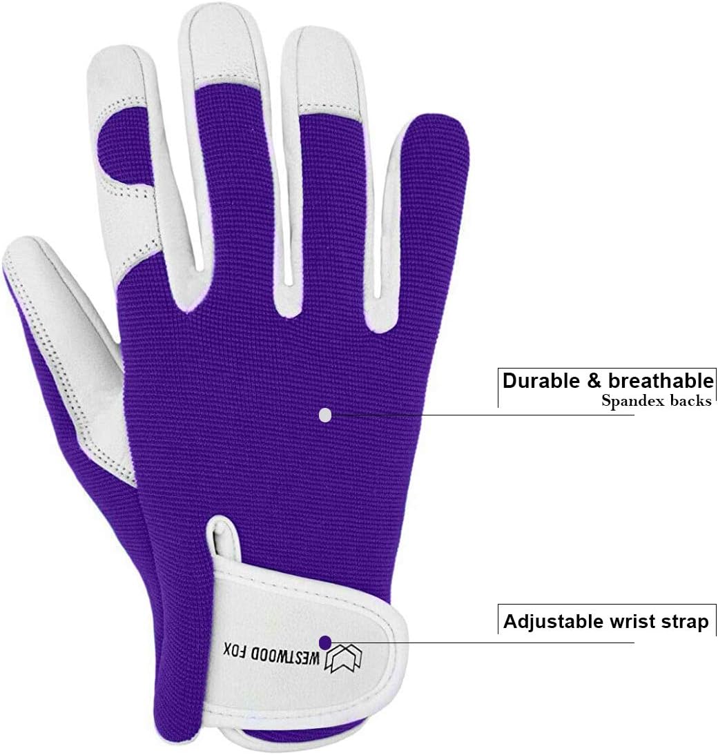 Ladies/Mens Leather Gardening Gloves Thorn Proof Garden work gloves with Goatskin Leather Breathable Spandex Back (Medium, Purple): Clothing