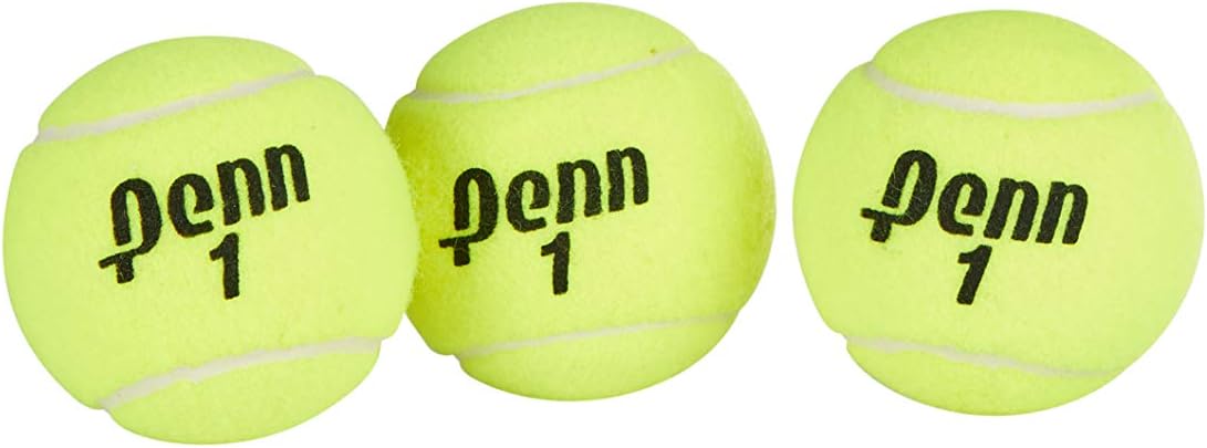 Penn Championship Tennis Balls - Extra Duty Felt Pressurized Tennis Balls - (2 Cans, 6 Balls) : Sports & Outdoors
